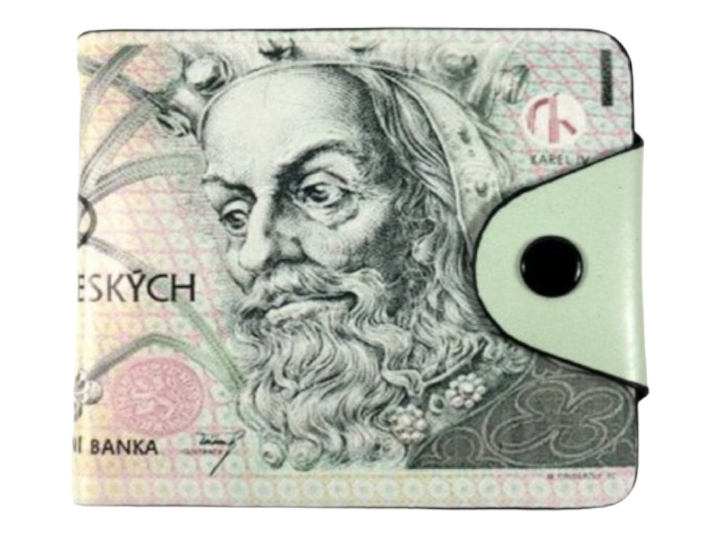 Peněženka s motivem bankovky - 100Kč 702