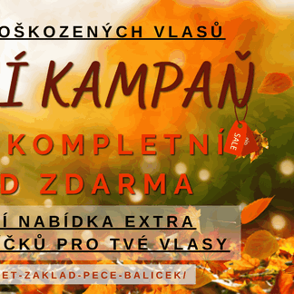 KAMPAŇ ZÁCHRANA POŠKOZENÝCH VLASŮ JE ČASOVĚ OMEZENÁ - platí pouze do 31.10.2025