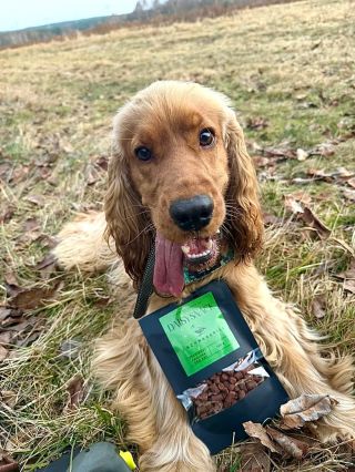 ⭐️⭐️⭐️ Chystáme pro Vás spoustu novinek 😍😍😍 Již brzy na www.daisypet.cz 🫶🫶🫶 Za foto děkujeme @cockerove_love