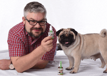 Petbelle Pet Repellent