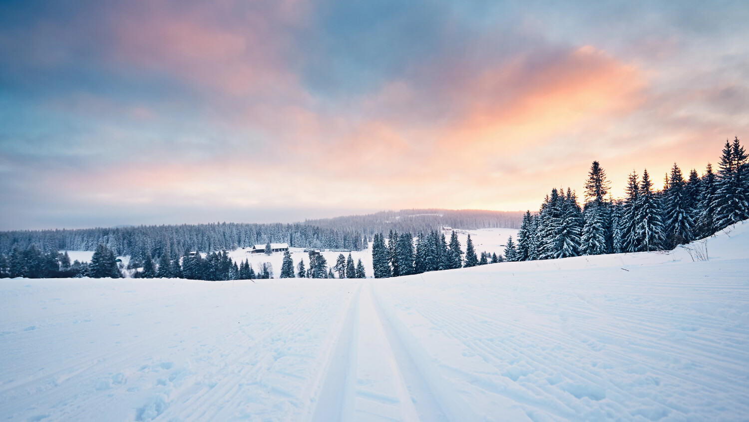 5 tipů, kam vyrazit na běžky v Česku