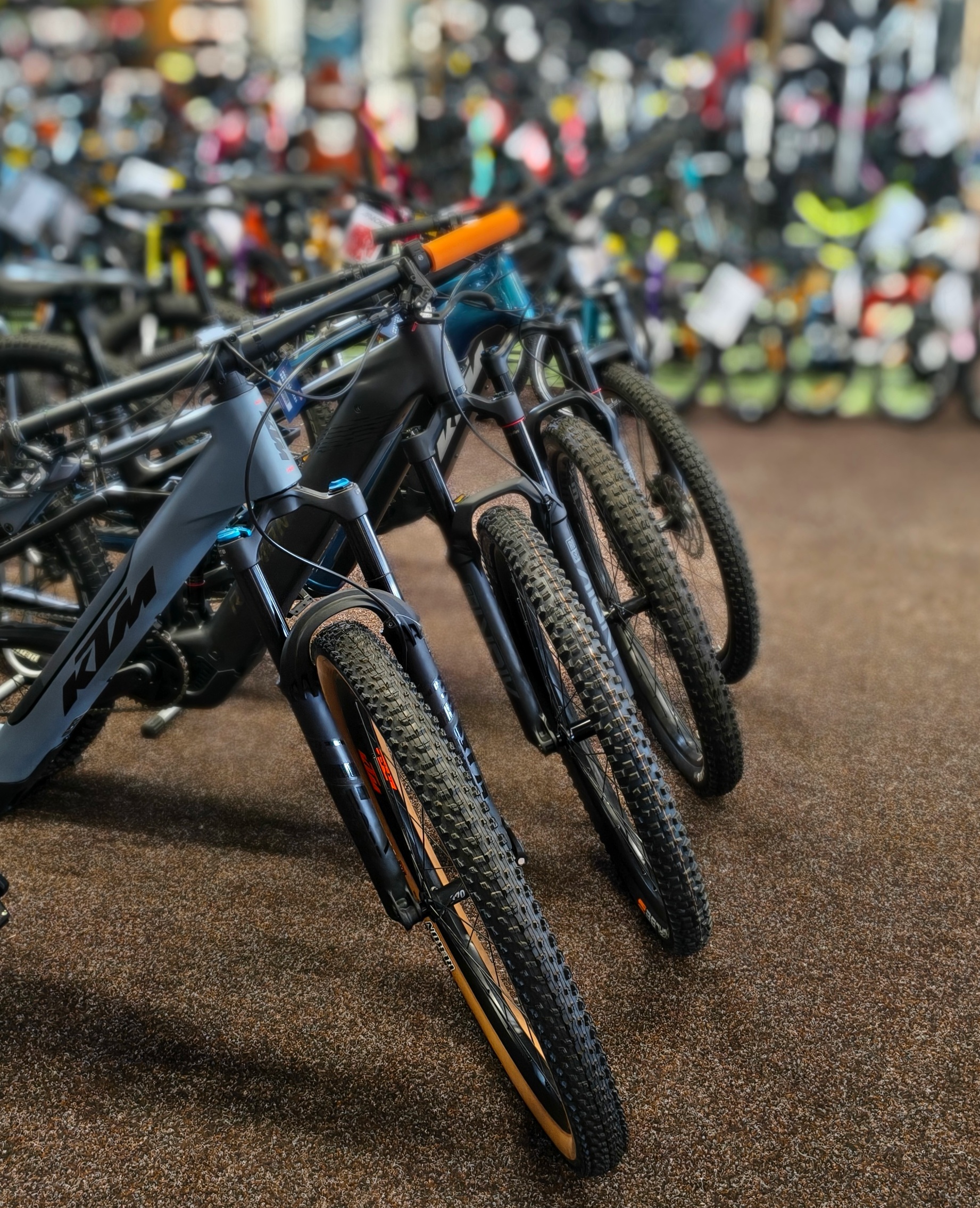 IMG_20260414_121223839_HDR_PORTRAIT