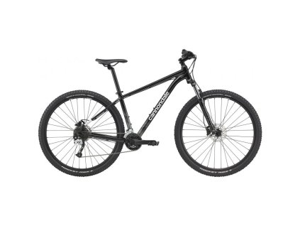 Cannondale Trail 7 29 (C26751M10/BLK) - černá