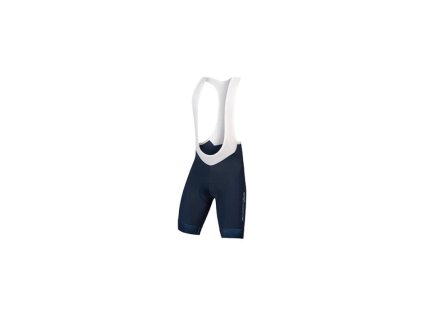 Kraťasy ENDURA FS260-Pro Bibshort E7117BU - Blue, pánské