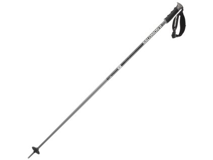 Hole Salomon ARCTIC S3 - Black