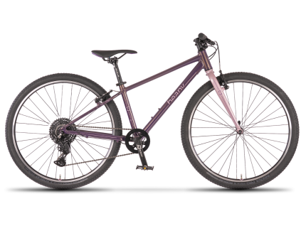 beany purple