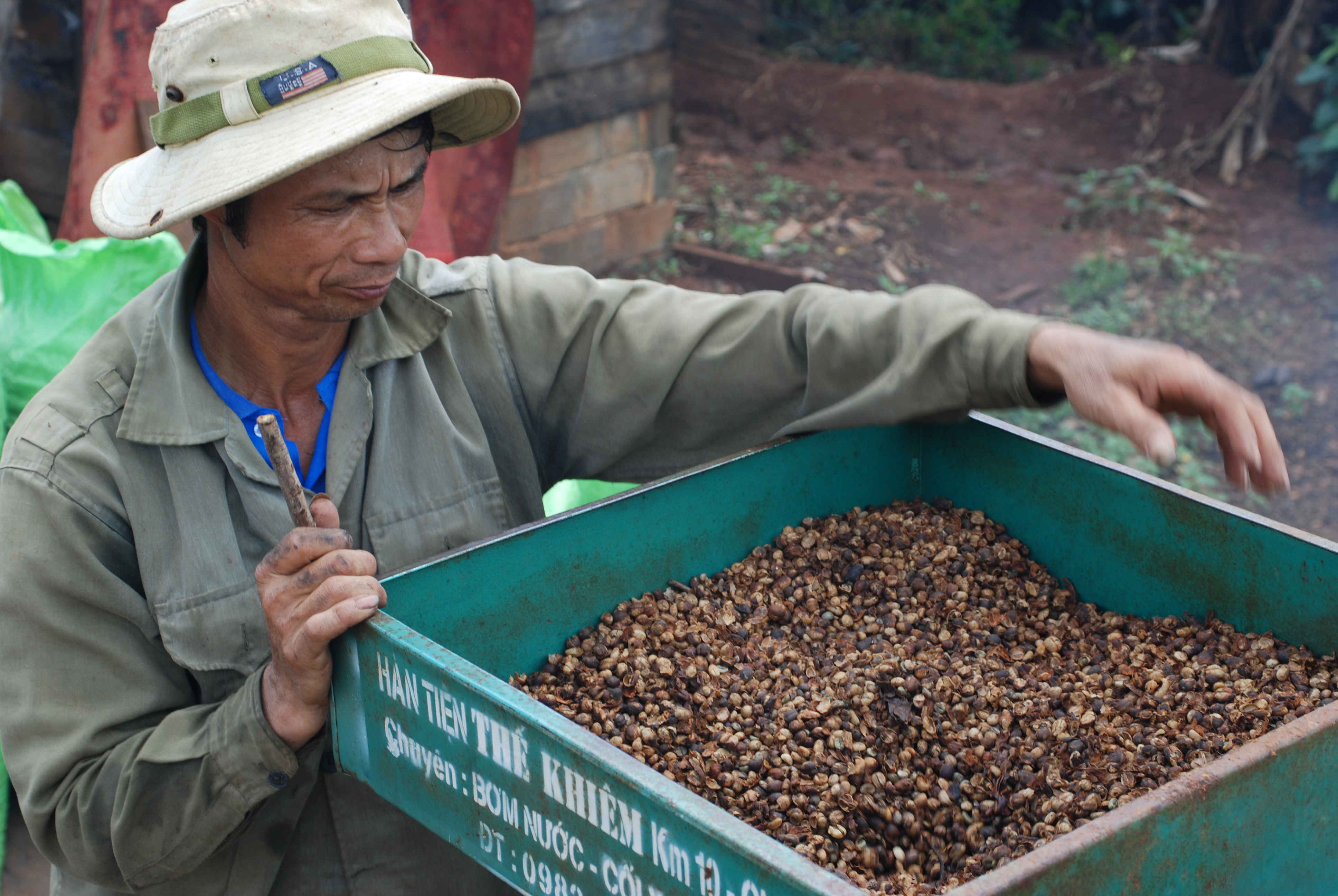 Historie vietnamské kávy