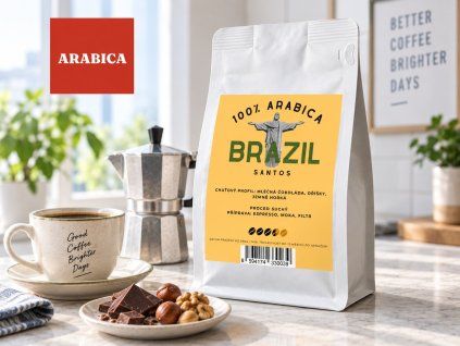 brazil santos