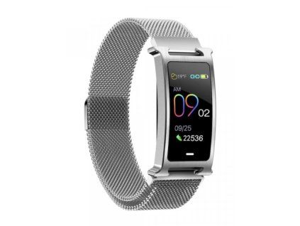 51973 smartomat silentband 2 stribrna