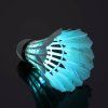 40738 1 led kosicek micek na badminton perak