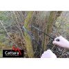 53824 5 pila retezova rucni 100cm