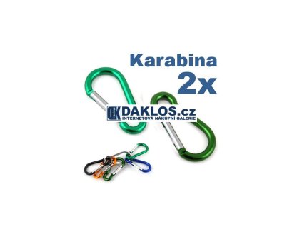 2 x karabina