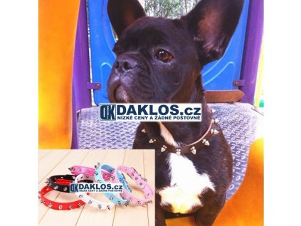 obojek s ostny pro psa psy
