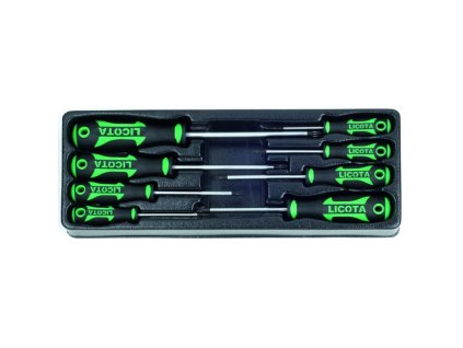 torx sroubovaky 8 dilu ve vyplni do dilenskeho voziku liack384013