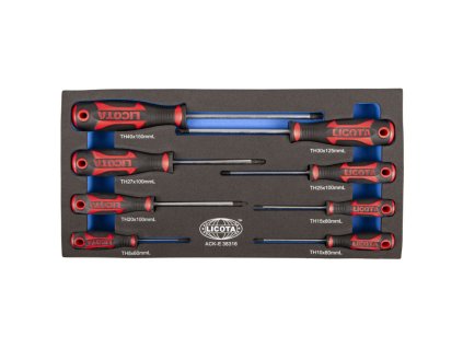 sada sroubovaku v penove vyplni torx 8 ks liacke38316