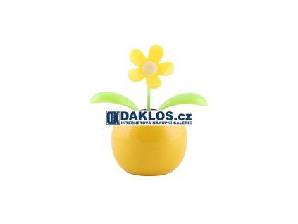 41599 solarni kvetina rostlina