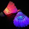 40738 3 led kosicek micek na badminton perak