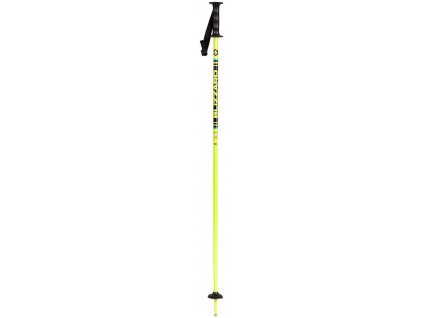 Dětské lyžařské hole Blizzard Race Junior Ski Poles - green