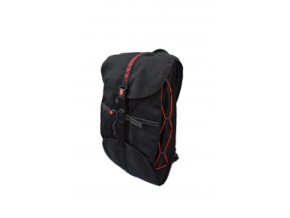 Ski bag Damani - B02 (150-170 cm)