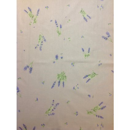 1BCB50C5 F691 4298 948B 3CEA2AB51950 1 201 a