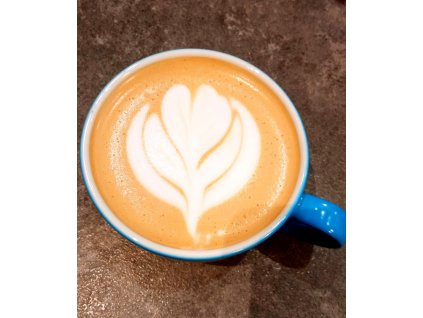 Kurz základního latte artu (kreslení našlehaným mlékem do kávy)