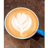 Basic latte art course (pouring of frothed milk into coffee)
