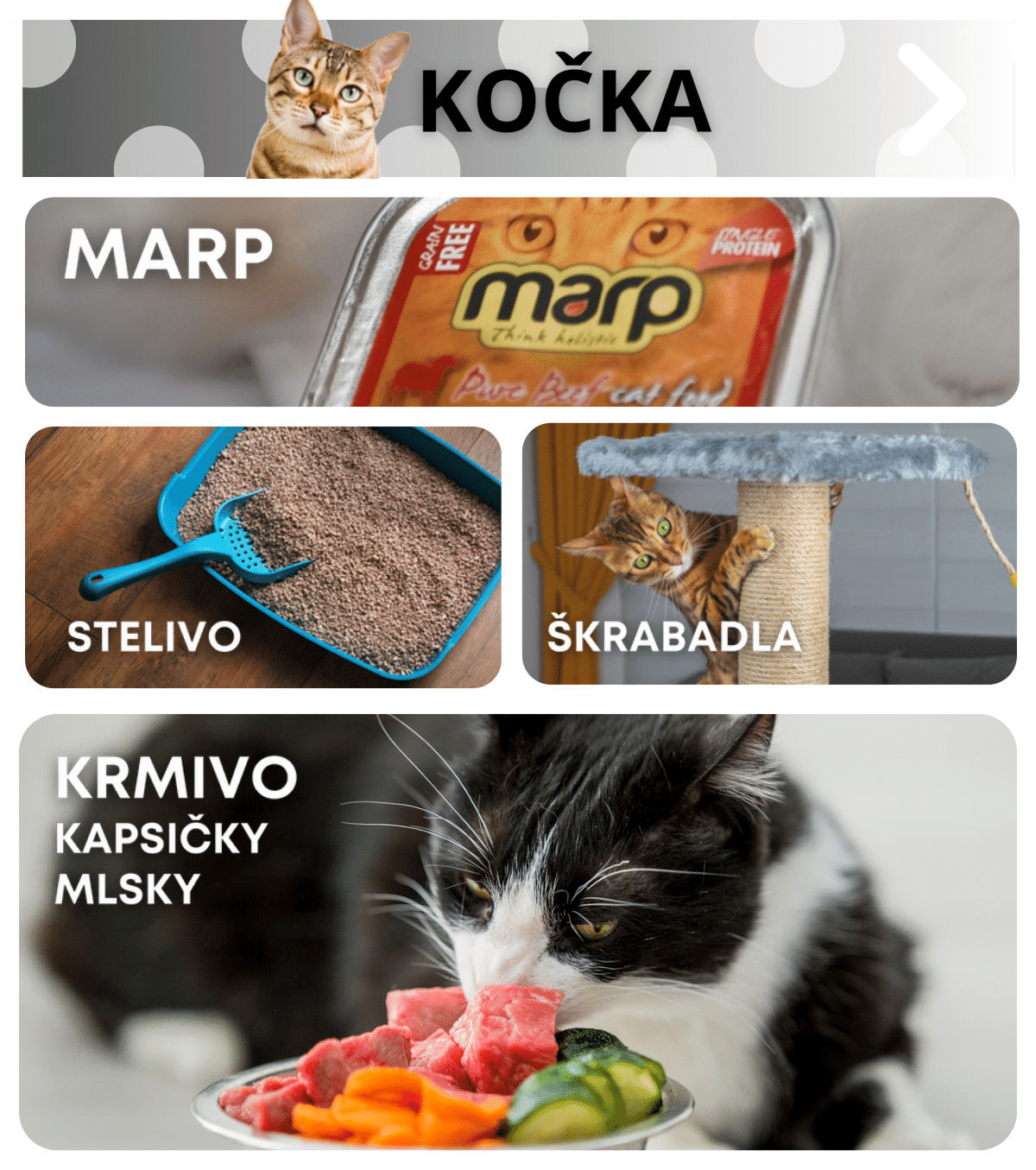 /kocky/