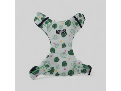 Postroj GREEN LOTUS