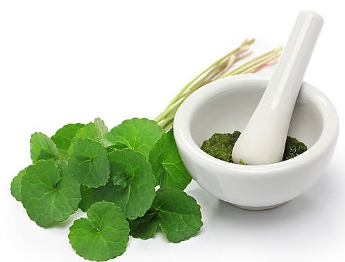 Funguje Centella Asiatica?