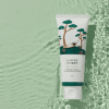 ROUND LAB - Pine Calming Cica Cleanser - Upokojujúca čistiaca pena s extraktom borovice 150ml