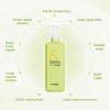 masil 5 probiotics apple vinegar shampoo 500ml (2)
