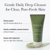Arencia green tea rice cake cleanser3