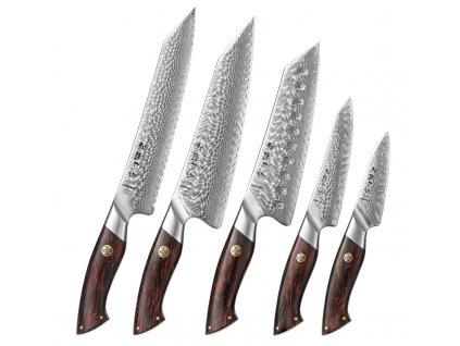Kuchyňský set 5 nožů Hezhen® B38 z damaškové oceli v dárkovém balení