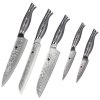 SWITYF® kuchyňský set 5 nožů  FKB z damaškové oceli
