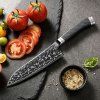 HEZHEN® kuchyňský nůž Santoku CARBON X10 (7,5")