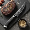 HEZHEN® kuchyňský nůž Steak CARBON X10 (5,5")