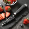 HEZHEN® kuchyňský nůž Paring CARBON X10 (4")