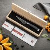 HEZHEN® kuchyňský nůž Paring CARBON X10 (4")