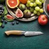 HEZHEN® nůž pro šéfkuchaře Paring DUNE B38L (4")