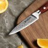 DAMANO® nůž Paring ROSEWOOD  DMS-456 (3,5")