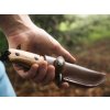 magnum zebra drop 02sc337 7