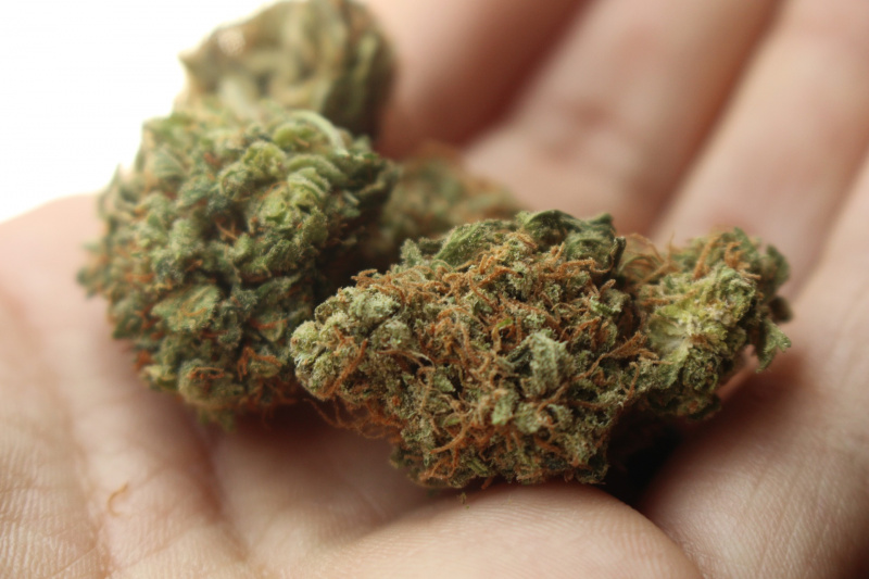 weed-2517251_1920