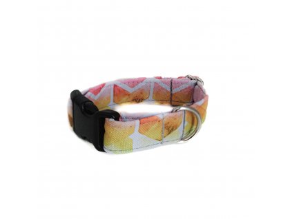 Obojek COLOR  - Skladovka s 50% slevou