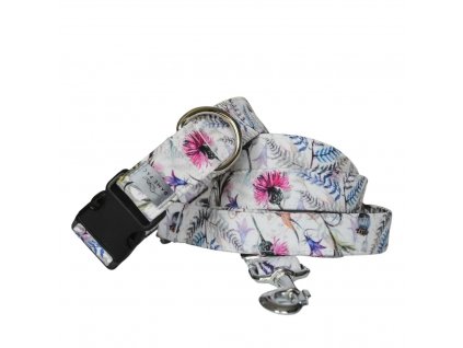 Obojek a vodítko - Field