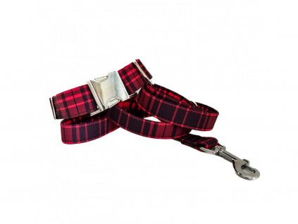 Obojek a vodítko - Kostky