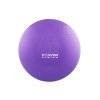 power system gymnasticky mic power gymball 65 cm