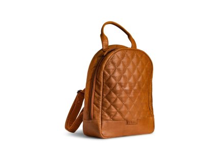 3b73b989904b896c2498069ebb50f7e3 fritsa backpack pre news qb 4633r1 whisky 3 1800x1800