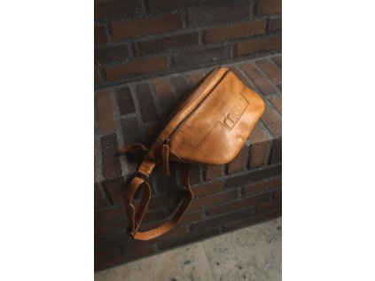 6ac3f2018db2e5697eea19b880378d3c vegas xl bumbag living qb 4199 whisky 5 1800x1800