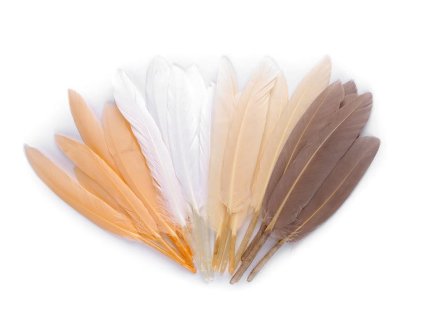 Kachní peří délka  9-14 cm (Varianta 10 černá, Balení 1 sáček)