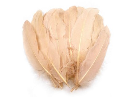 Husí peří délka 12-21 cm (Varianta 1 bílá, Balení 20 ks)